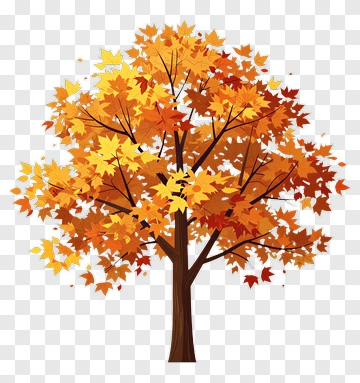 Autumn Maple Tree PNG