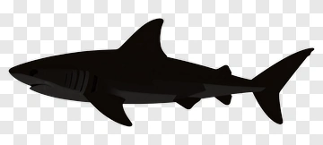 Black Shark Silhouette PNG