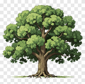 Cartoon Tree With Lush Green Leaves PNG