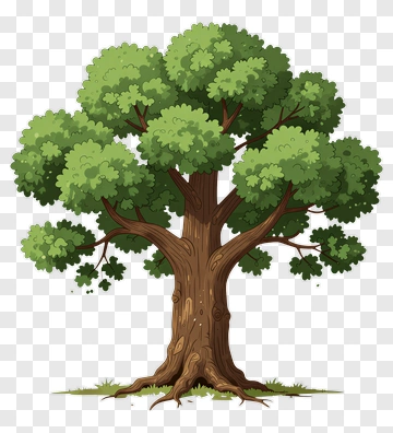 Cartoon Tree With Green Leaves PNG