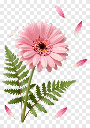 Pink Gerbera Daisy With Fern Leaf PNG