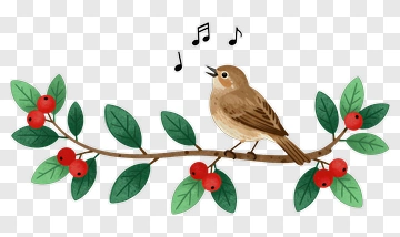 Bird Singing On Berry Branch PNG