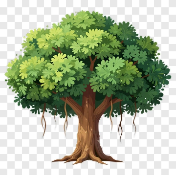 Cartoon Tree With Dense Leaves PNG