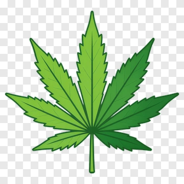 Cannabis Leaf PNG