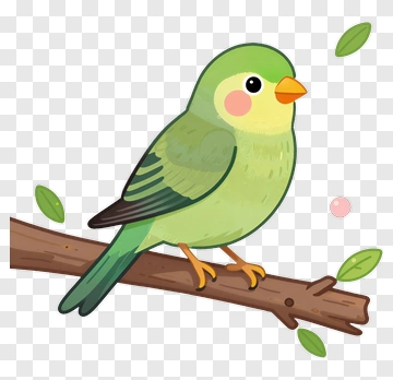 Cute Green Parakeet On Branch PNG