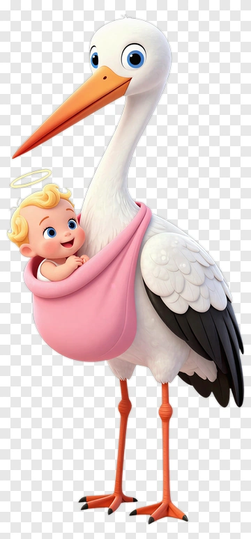 Stork Carrying Baby In Pink Wrap PNG