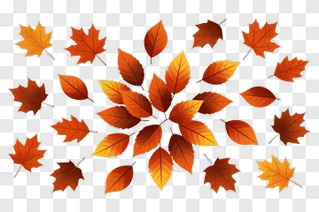 Autumn Leaves Pattern PNG