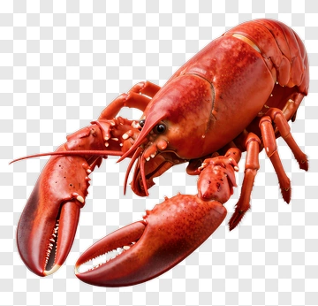 Cooked Lobster PNG