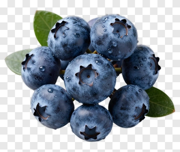 Fresh Blueberries With Dew PNG