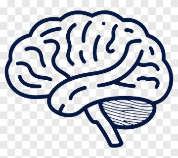 Brain Icon PNG