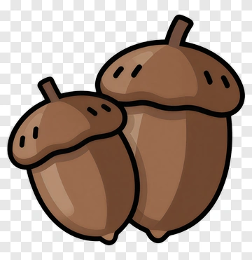 Two Acorns PNG