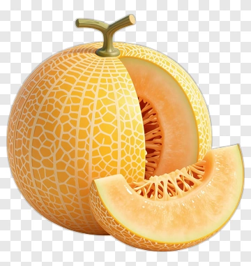 Cantaloupe Melon With Slice PNG