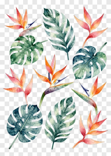 Tropical Flowers And Leaves Watercolor Design PNG