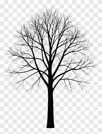 Black Tree Silhouette PNG