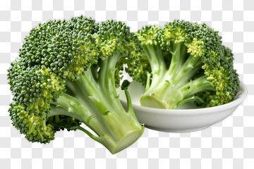 Fresh Broccoli PNG