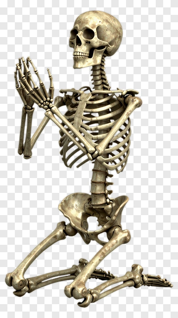 Skeleton In Kneeling Pose PNG