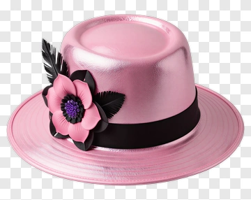 Pink Fedora Hat With Flower And Feather PNG
