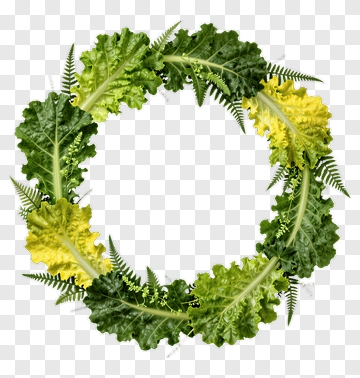 Leaf Wreath Of Kale And Fern PNG