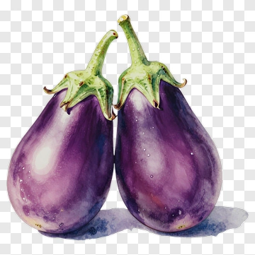 Two Eggplants PNG