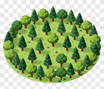 Forest Of Pine Trees And Bushes PNG