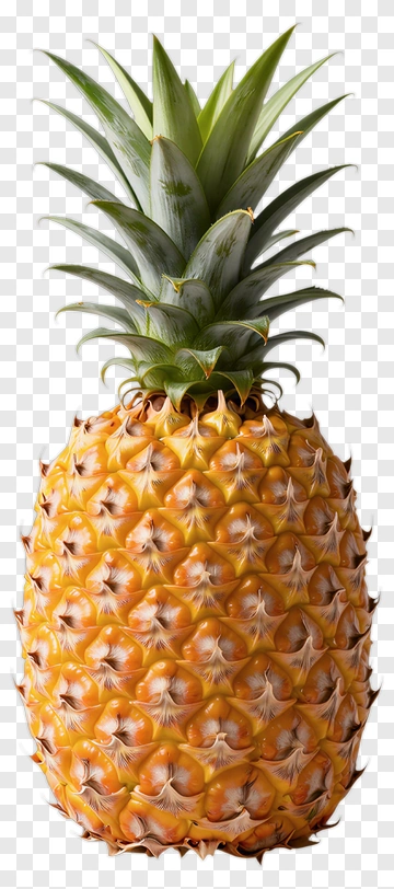Pineapple PNG