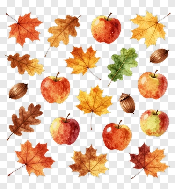 Watercolor Autumn Leaves Apples And Acorns PNG