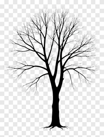 Black Tree Silhouette PNG