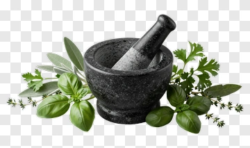 Fresh Herbs With Mortar And Pestle PNG