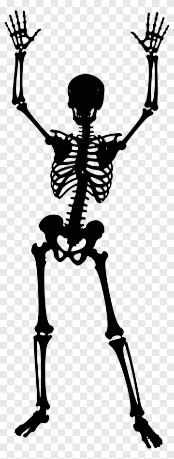 Skeleton With Arms Raised PNG