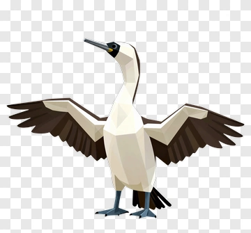 Cormorant Bird Illustration PNG