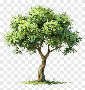 A Lush Tree With Vibrant Foliage PNG