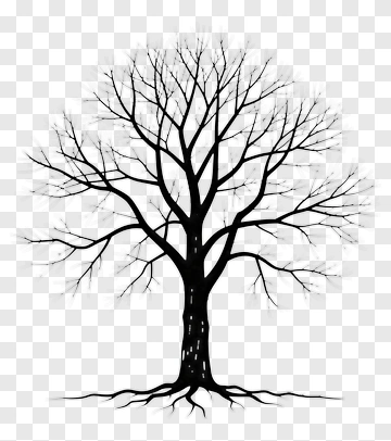 Bare Tree Silhouette PNG