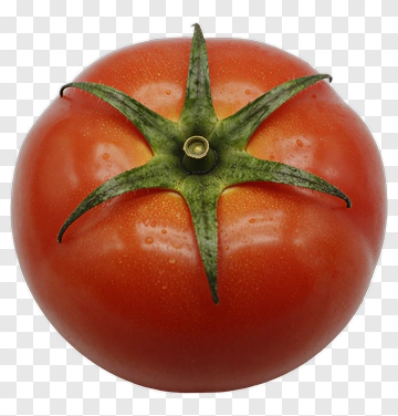 Red Tomato With Green Stem PNG