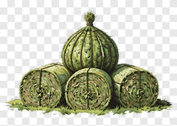Stack Of Hay Bales PNG