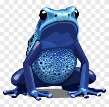 Blue Frog PNG