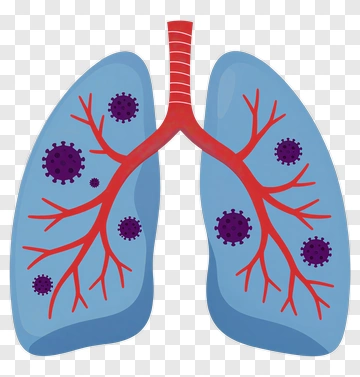 Lungs With Viruses PNG