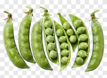 Fresh Green Pea Pods With Water Droplets PNG