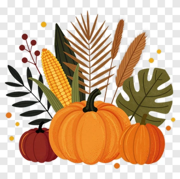 Autumn Harvest Decor PNG
