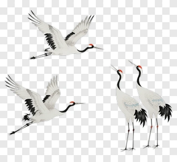 Four Cranes In Traditional Style PNG
