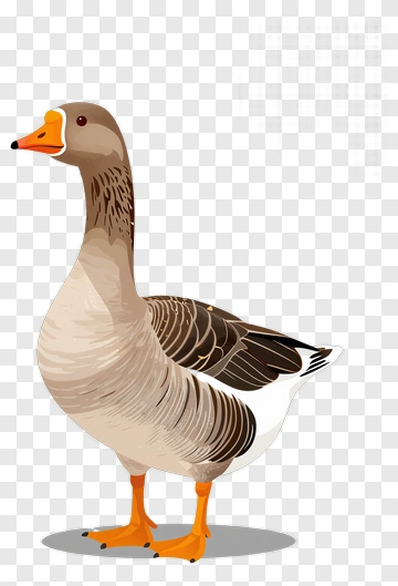 Goose PNG