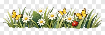 Butterflies And Daisy Garden PNG