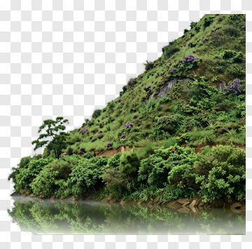 Mountain With Lush Vegetation And River PNG