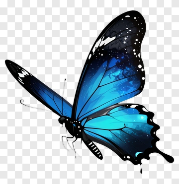 Blue Butterfly With Black Wings PNG