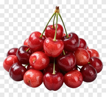 Fresh Cherry Cluster PNG