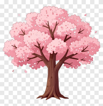 Cherry Blossom Tree In Full Bloom PNG