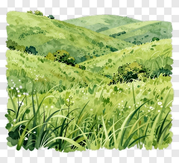 Lush Green Hills With Wildflowers PNG