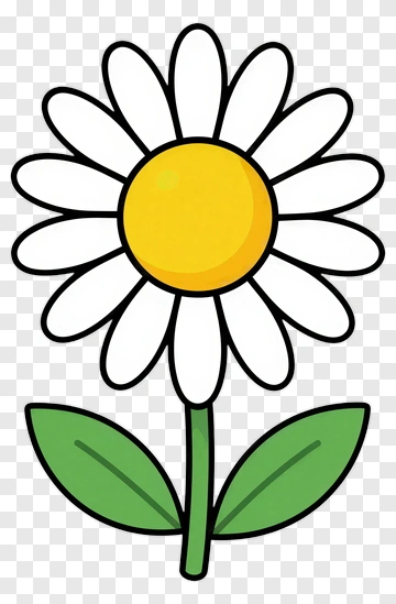 White Daisy With Yellow Center PNG