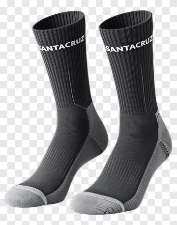 SANTACRUZ Socks In Gray And Black PNG