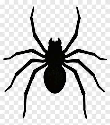 Spider Silhouette PNG