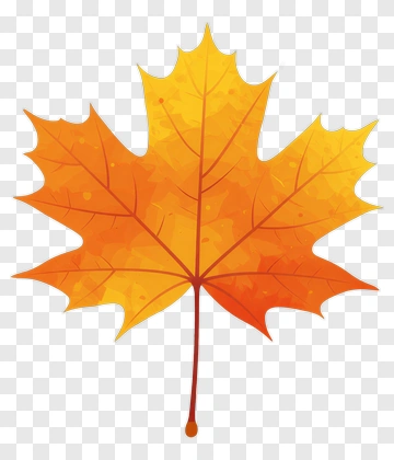 Maple Leaf In Autumn Colors PNG
